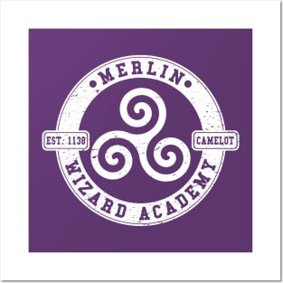 Merlin Wizard Academy Posters and Art